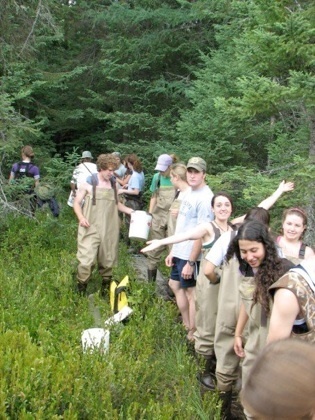 Field work in a bog at UNDERC-East