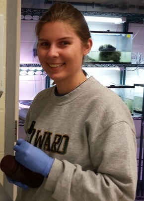 Maddie Wroblewski working with Great Salt Lake phytoplankton samples